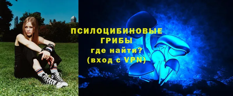 нарко площадка состав  магазин продажи наркотиков  Отрадное  Галлюциногенные грибы GOLDEN TEACHER 